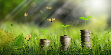 Por que os muçulmanos pagam Zakat?